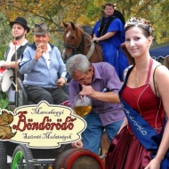 Maroshegyi Böndörödő 2017 Székesfehérvár Maroshegyi Böndörödő 2017 Székesfehérvár