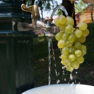Cserke Vitéz Napok 2019 Cserkeszőlő Cserke Vitéz Napok 2019 Cserkeszőlő