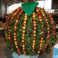 Duna-Tisza Közi Agrár Expo 2019 Kiskőrös Duna-Tisza Közi Agrár Expo 2019 Kiskőrös