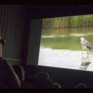 Természetismereti filmek, 12 perces magyar nyelvű természetfilm vetítése a Tisza-tavi Ökocentrumban Természetismereti filmek, 12 perces magyar nyelvű természetfilm vetítése a Tisza-tavi Ökocentrumban