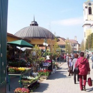 Váci helyi termelői piac 2019 Váci helyi termelői piac 2019