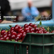 Termelői piac Hajdúszoboszló Termelői piac Hajdúszoboszló