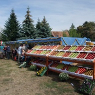 Csengeri Almafesztivál 2019 Csengeri Almafesztivál 2019