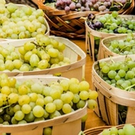 Bor- és Csemegeszőlő Fesztivál Vonyarcvashegy 2018 Bor- és Csemegeszőlő Fesztivál Vonyarcvashegy 2018