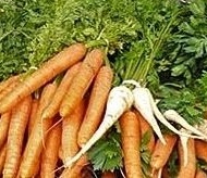 Termelői piac Ásotthalom Termelői piac Ásotthalom