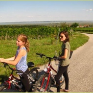 Kerékpártúrák Sopron környékén és a Fertő-tóhoz, ajándék wellness kuponokkal a Szieszta Hotelben Kerékpártúrák Sopron környékén és a Fertő-tóhoz, ajándék wellness kuponokkal a Szieszta Hotelben