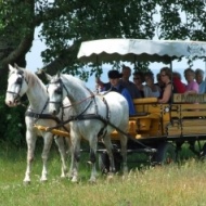 Rádpusztai lovaglás, lovaskocsizás szállással Balatonfenyvesen a Hubertus Hof Hotelben Rádpusztai lovaglás, lovaskocsizás szállással Balatonfenyvesen a Hubertus Hof Hotelben