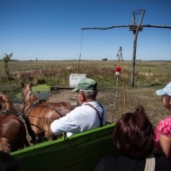 Puszta party minden kedden a Steigervald Lovastanyán Puszta party minden kedden a Steigervald Lovastanyán