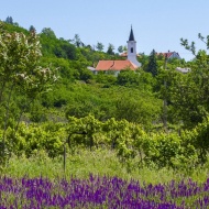 Lovasi Esték 2019 Lovasi Esték 2019
