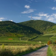 Tokaji programok 2018 Tokaji programok 2018