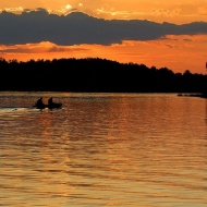 Tisza-tó fesztiválok 2019 Tisza-tó fesztiválok 2019
