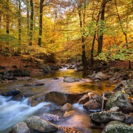 Nyúlcipőbolt Mátra Trail 2019 Nyúlcipőbolt Mátra Trail 2019