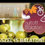 Tökös futás Siófokon 2018 Tökös futás Siófokon 2018