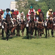 Derby Fesztivál 2019 Derby Fesztivál 2019