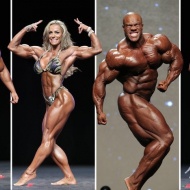 Országos Testépítő és Fitness Bajnokság 2019 Országos Testépítő és Fitness Bajnokság 2019
