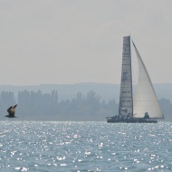 Félsziget-kerülő Széchenyi István Emlékverseny 2019 Balatonfüred Félsziget-kerülő Széchenyi István Emlékverseny 2019 Balatonfüred