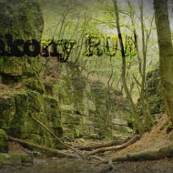 BakonyRun 2020 BakonyRun 2020