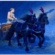 GLADIÁTOR giga musical a Nemzeti Lovas Színház előadásában 2017 GLADIÁTOR giga musical a Nemzeti Lovas Színház előadásában 2017