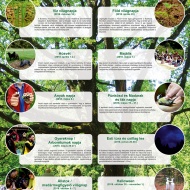 Budakeszi Arborétum programok 2018 Budakeszi Arborétum programok 2018