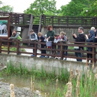 Hortobágyi Vadaspark programok 2019 Hortobágyi Vadaspark programok 2019