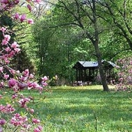 Arborétum Zircen, látogatás hazánk legmagasabban fekvő élőfa-gyűjteményébe Arborétum Zircen, látogatás hazánk legmagasabban fekvő élőfa-gyűjteményébe