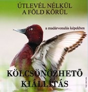 Madárvonulás, a vonuló madarak csodálatos és titkokkal övezett világa kölcsönözhető kiállítás Madárvonulás, a vonuló madarak csodálatos és titkokkal övezett világa kölcsönözhető kiállítás