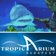 Tropicarium programok 2018 Budapest Tropicarium programok 2018 Budapest
