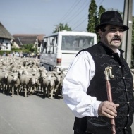 Nádudvari Pásztornap 2018. Pásztormajális Nádudvari Pásztornap 2018. Pásztormajális