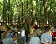 Erdei túrák vadmegfigyeléssel, a Balaton-felvidéki Erdei Iskola programja erdész szakvezetőkkel Erdei túrák vadmegfigyeléssel, a Balaton-felvidéki Erdei Iskola programja erdész szakvezetőkkel
