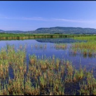 A Káli-medence felfedezése, kirándulások a Balaton-felvidéki Nemzeti Parkban