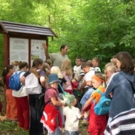 Csopaki tanösvény, mini ökotúra a Balaton-felvidéki Nemzeti Park központjában Csopaki tanösvény, mini ökotúra a Balaton-felvidéki Nemzeti Park központjában