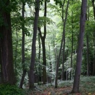 Magas-bakonyi túrák a Balaton-felvidéki Nemzeti Parkban