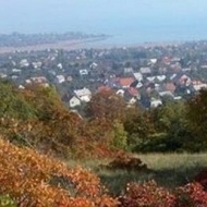 Séta a balatonfüredi erdőben, a Balaton-felvidéki Nemzeti Park természetvédelmi területén