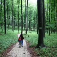 Séta a farkasgyepűi kísérleti erdőben, a Balaton-felvidéki Nemzeti Park természetvédelmi területén Séta a farkasgyepűi kísérleti erdőben, a Balaton-felvidéki Nemzeti Park természetvédelmi területén