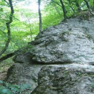 Barát-réti tanösvény Felsőtárkány, ökotúra a Bükki Nemzeti Parkban Barát-réti tanösvény Felsőtárkány, ökotúra a Bükki Nemzeti Parkban