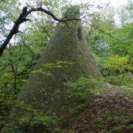 Cserépfalu Ördögtorony tanösvény a Bükki Nemzeti Parkban Cserépfalu Ördögtorony tanösvény a Bükki Nemzeti Parkban