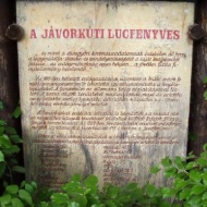 Jávorkúti tanösvény, ökotúra a Bükk-fennsíkon, a Bükki Nemzeti Parkban