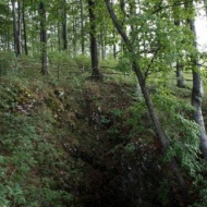 Nagymező-Kis-kőháti-Zsomboly tanösvény Szilvásvárad, ökotúra a Bükki Nemzeti Parkban Nagymező-Kis-kőháti-Zsomboly tanösvény Szilvásvárad, ökotúra a Bükki Nemzeti Parkban