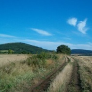 Fóti-Somlyó tanösvény, ökotúra a Gödöllői-dombságban, a Duna-Ipoly Nemzeti Park területén Fóti-Somlyó tanösvény, ökotúra a Gödöllői-dombságban, a Duna-Ipoly Nemzeti Park területén