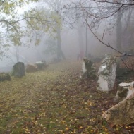 Kőpark tanösvény ökotúra Budapesten a Budai-hegységben, a Duna-Ipoly Nemzeti Park szervezésében Kőpark tanösvény ökotúra Budapesten a Budai-hegységben, a Duna-Ipoly Nemzeti Park szervezésében