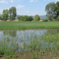 Páskom legelő tanösvény Dejtár, ökotúra a Duna-Ipoly Nemzeti Park területén Páskom legelő tanösvény Dejtár, ökotúra a Duna-Ipoly Nemzeti Park területén