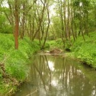 Fürge cselle tanösvény, ökotúra az Őrségi Nemzeti Park területén Fürge cselle tanösvény, ökotúra az Őrségi Nemzeti Park területén