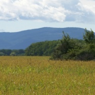 Csillaghúr tanösvény, ökotúra az Őrségi Nemzeti Park területén Csillaghúr tanösvény, ökotúra az Őrségi Nemzeti Park területén