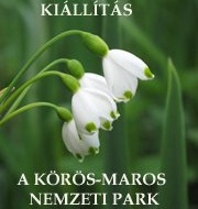 Kölcsönözhető kiállítások a Körös-Maros Nemzeti Parkban Kölcsönözhető kiállítások a Körös-Maros Nemzeti Parkban