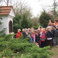 Kecskeméti Arborétum programok 2018 Kecskeméti Arborétum programok 2018