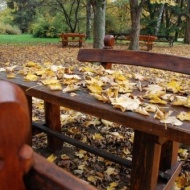 Tiszalöki Arborétum látogatás Tiszalöki Arborétum látogatás