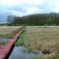 Kisvátyoni tanösvény, ökotúra Zsadányban a Körös-Maros Nemzeti Parkban