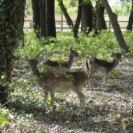 Ökoturisztikai központ a Tisza-tónál, látogatás a Tisza-tavi Ökocentrumban Ökoturisztikai központ a Tisza-tónál, látogatás a Tisza-tavi Ökocentrumban