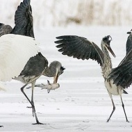 Duna-Dráva Nemzeti Park programok 2024