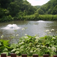 Pisztráng tanösvény Miskolc, ökotúra a Garadna-völgyben, a Bükki Nemzeti Park területén